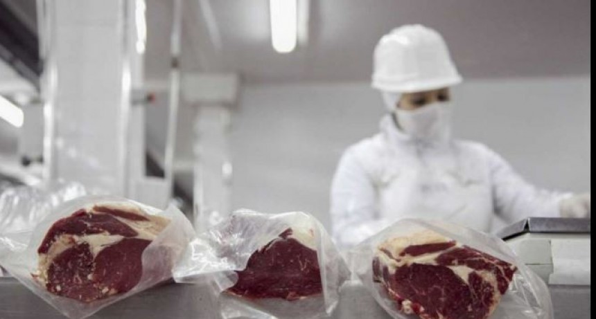 Cuota Hilton: distribuyen m&aacute;s de 28.000 toneladas de carne de alta calidad para exportar a la Uni&oacute;n Europea
