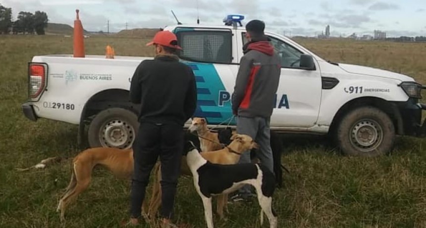 M&aacute;s galgueros atrapados en la zona de Loma Negra