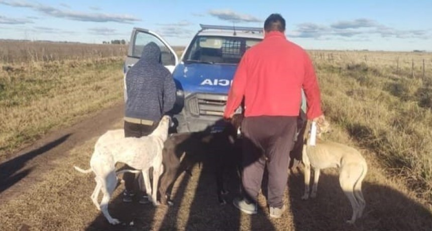 Otra vez galgueros en La Remonta
