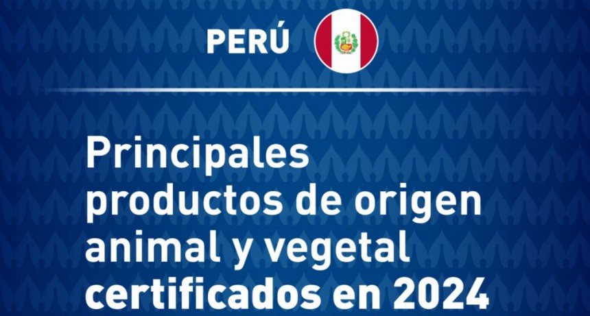 Copa Am&eacute;rica: Argentina sostiene una nutrida exportaci&oacute;n de productos con Per&uacute;