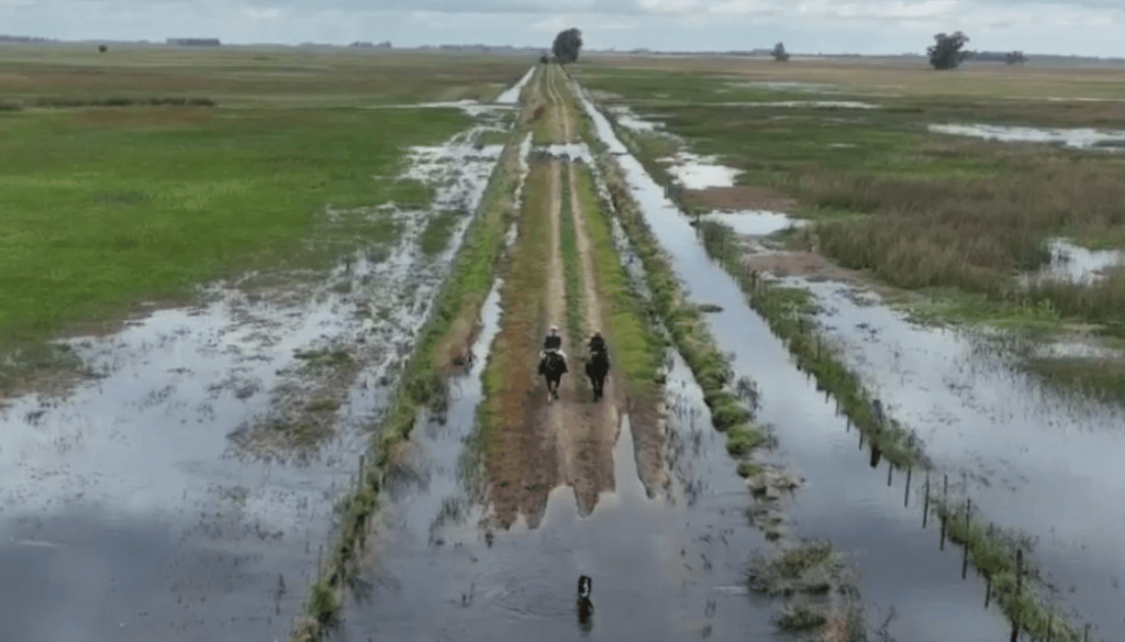 En medio de las inundaciones, aún hay esperanza de “un buen escenario de rindes”