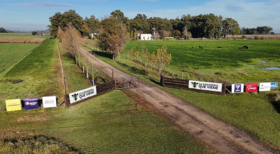 El campo olavarriense se prepara para vivir 