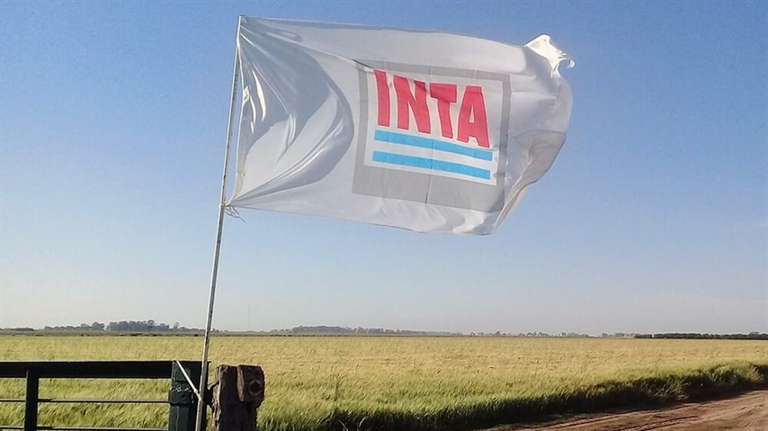INTA: 