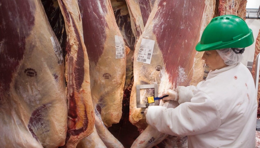 Desregulación en la carne: el Gobierno elimina el peso mínimo de faena