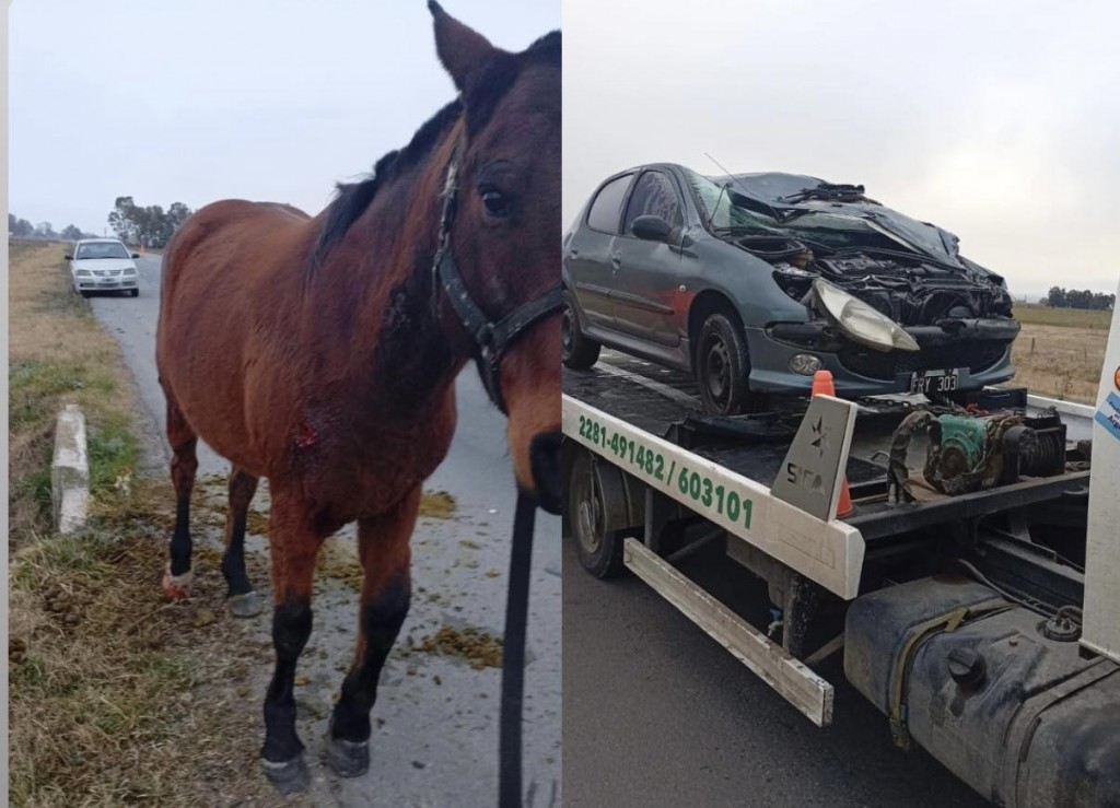 Dos personas hospitalizadas tras chocar contra un caballo en Ruta 51