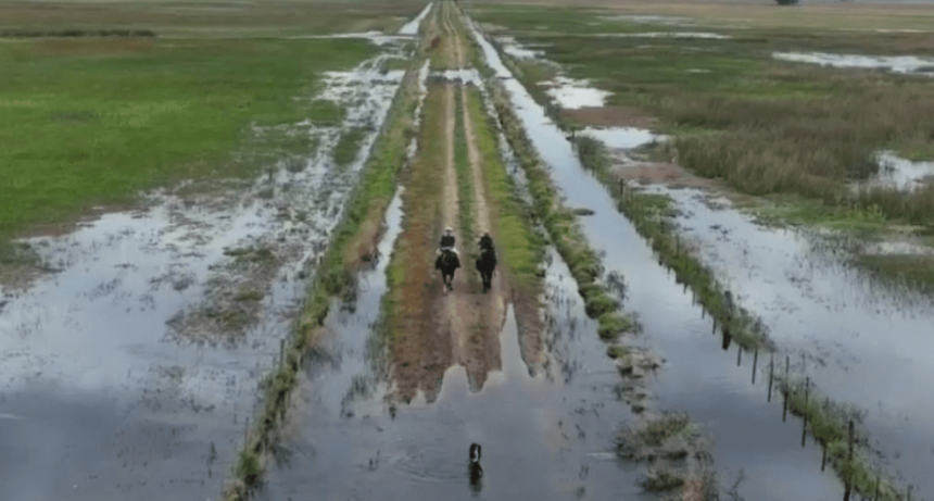 En medio de las inundaciones, a&uacute;n hay esperanza de &ldquo;un buen escenario de rindes&rdquo;