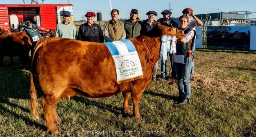Caba&ntilde;a &ldquo;La Elisa&rdquo; se consagr&oacute; en la 8&deg; Expo Oto&ntilde;o de Limangus