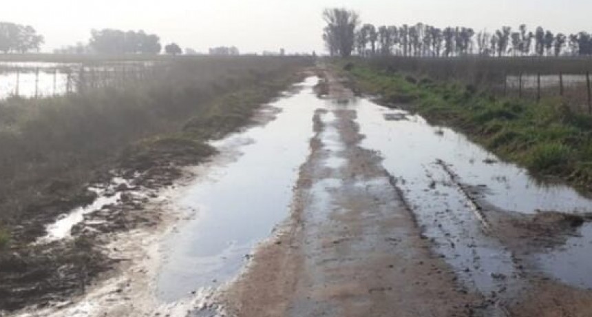 Caminos rurales de Bol&iacute;var: productores exigieron respuestas en 72 horas