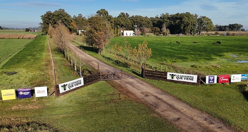El campo olavarriense se prepara para vivir "La Ganader&iacute;a que Viene"