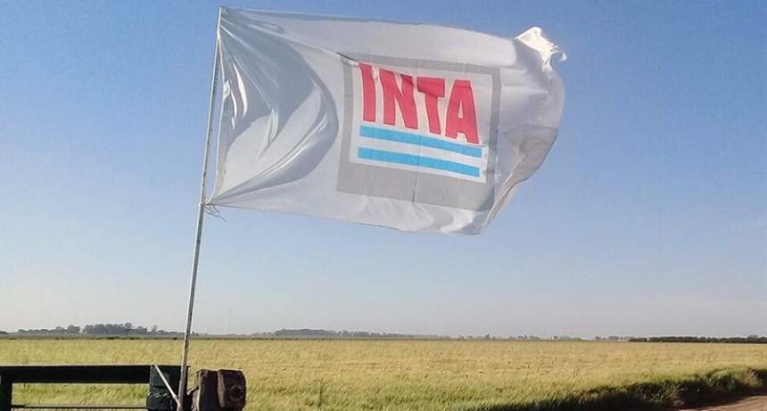 INTA: "Se avanzar&iacute;a en el cierre de todos los centros regionales"