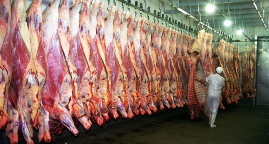 La faena de vacunos se redujo m&aacute;s del 5% en mayo