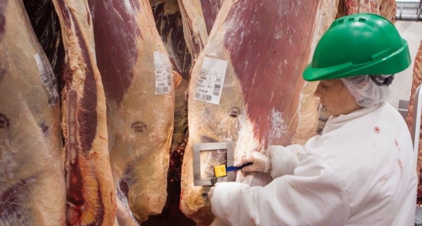Desregulaci&oacute;n en la carne: el Gobierno elimina el peso m&iacute;nimo de faena
