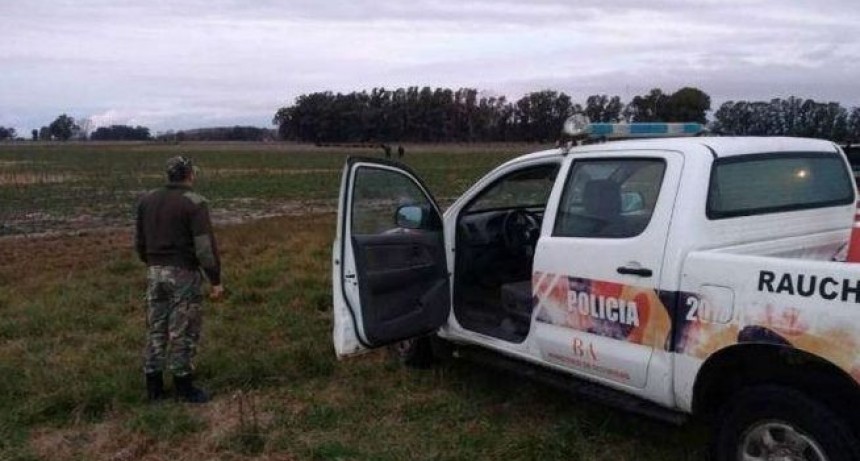 Rauch: abigeatos en inmediaciones de la rotonda de Di Candilo