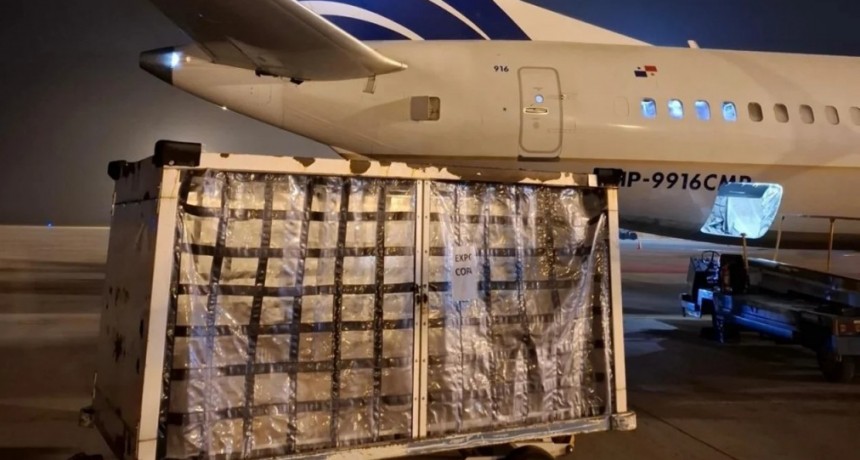 Desde Rosario ya se exporta carne y pescado por v&iacute;a a&eacute;rea