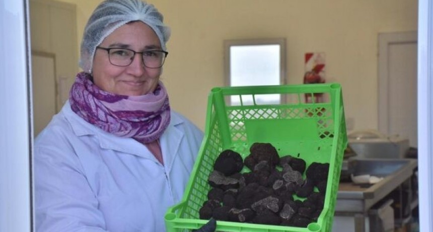 El sudoeste bonaerense pone su mira en el &ldquo;diamante negro&rdquo;