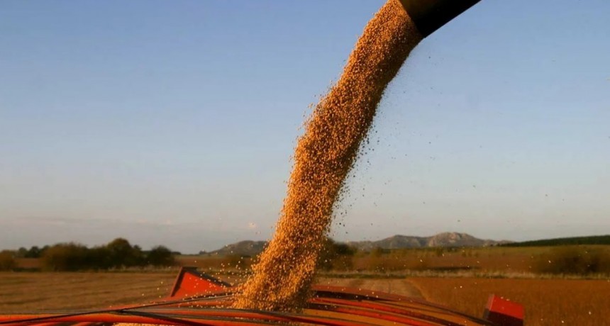 Llega a su fin la baja de retenciones: el jueves ser&aacute; un d&iacute;a clave para el campo