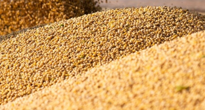Agro en modo r&eacute;cord: las exportaciones superaron las 50 millones de toneladas y el Gran Rosario concentra el 73,5% de los camiones