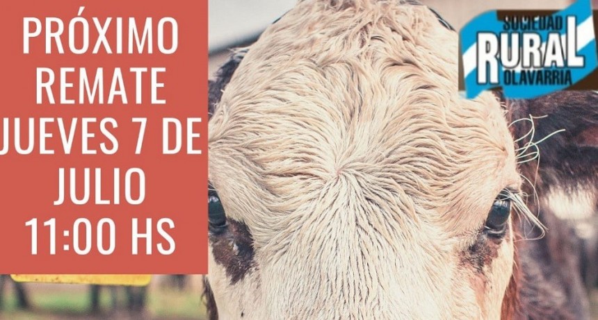 El jueves 7 se realiza un nuevo remate de la firma Daniel Blanco y Compa&ntilde;&iacute;a