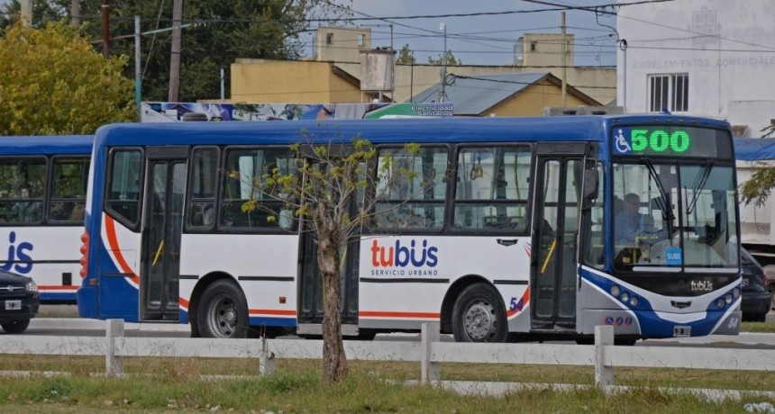 TuBus circula cada media hora este viernes