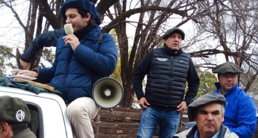 Ecos del remate de Colombo y Magliano S.A. junto a Germ&aacute;n Alberdi