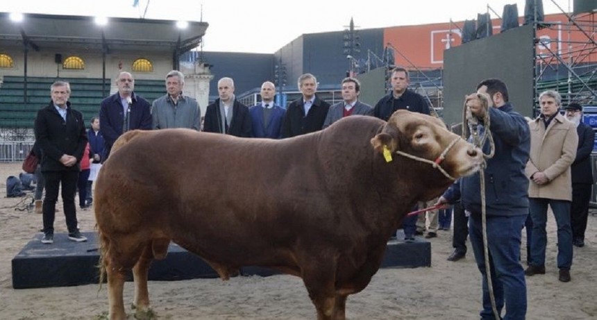 Un toro de 4 a&ntilde;os, 1000 kilos y campe&oacute;n mundial &ldquo;cort&oacute; las cintas&rdquo; de la Exposici&oacute;n Rural