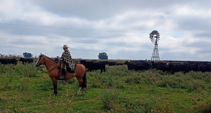 Caba&ntilde;a olavarriense logr&oacute; una importante actuaci&oacute;n en pruebas de caballos criollos realizadas en Tapalqu&eacute;