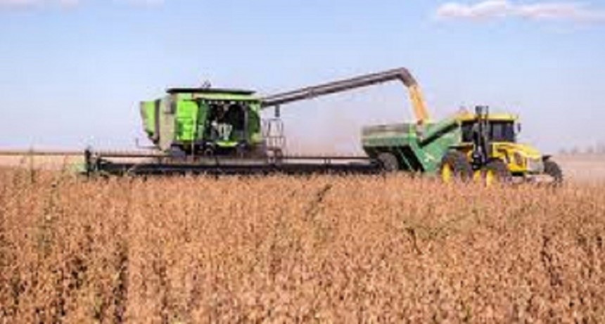El Gobierno duplica controles al campo con foco en el trigo