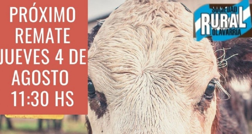 El 4 de agosto se realiza el remate de Daniel Blanco y CIA S.A.