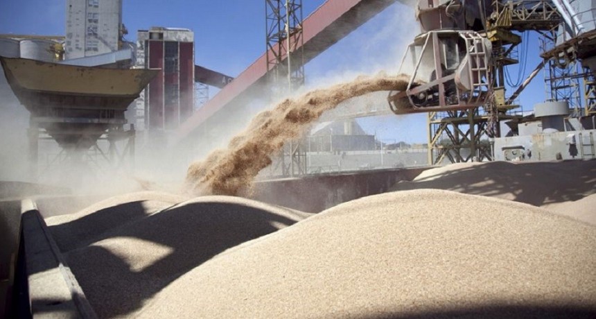 La liquidaci&oacute;n de divisas de los agroexportadores cay&oacute; 59 % en junio