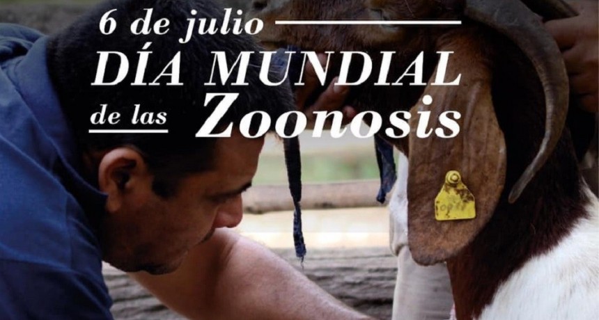 D&iacute;a Mundial de las Zoonosis: El cuidado de la salud p&uacute;blica a trav&eacute;s de la prevenci&oacute;n