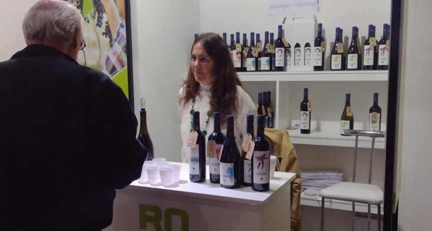 Caminos y Sabores: Bodega Videla Dorna