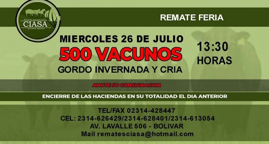 El 26 de julio se realiza un nuevo remate de la firma Ciasa S.A.