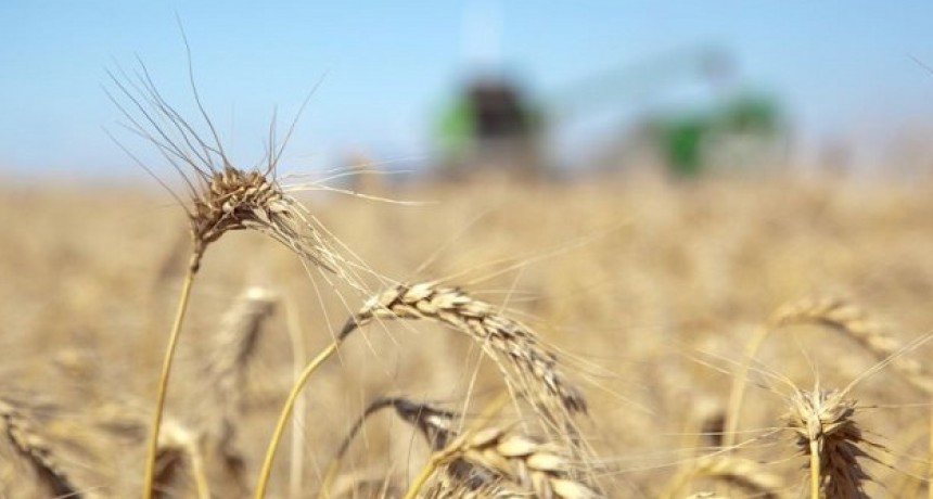 Cada vez son m&aacute;s los productores que protegen sus cultivos