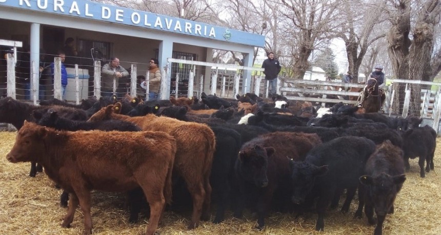 &Iacute;ndice arrendamientos