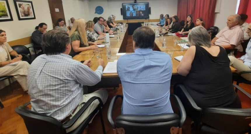 Influenza aviar: Presentaci&oacute;n de las acciones realizadas para su prevenci&oacute;n y control