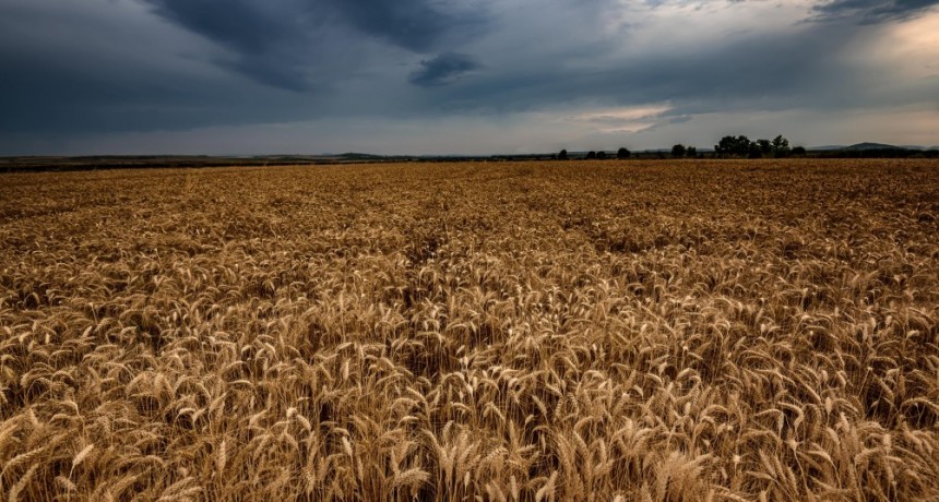 Anticiparse a los riesgos: cada vez son m&aacute;s los productores que protegen sus cultivos