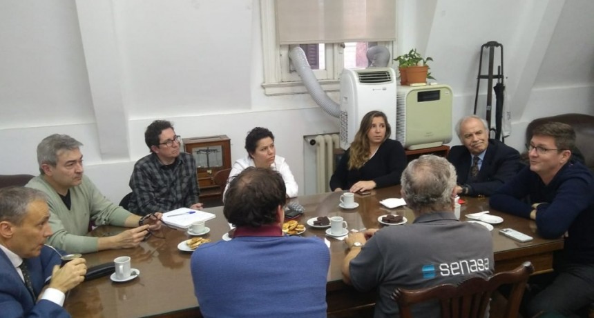 La Mesa Ap&iacute;cola analiz&oacute; aspectos para fortalecer la producci&oacute;n y exportaci&oacute;n de miel