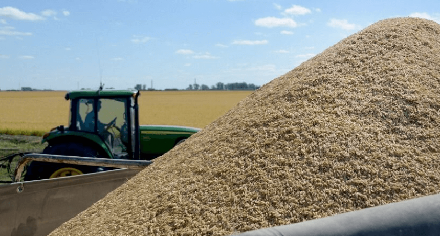 Campa&ntilde;a 2023/24: estiman que los productores agr&iacute;colas invertir&aacute;n U$S 40.500 millones
