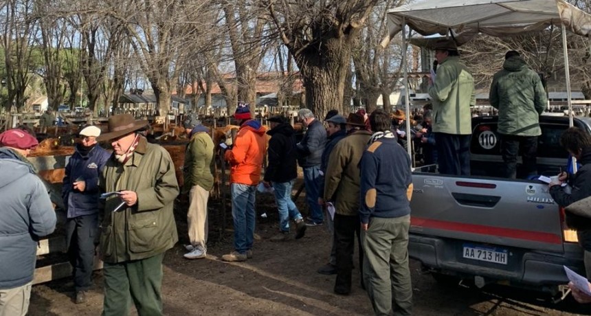 Remate Matteucci y Bardin se realiz&oacute; este martes en Lamadrid