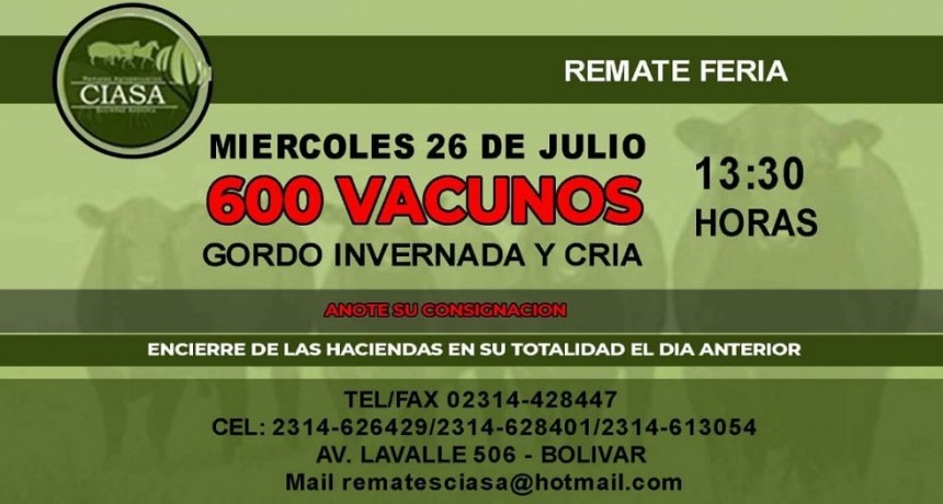 Este mi&eacute;rcoles se realiza el remate de la firma Ciasa S.A.