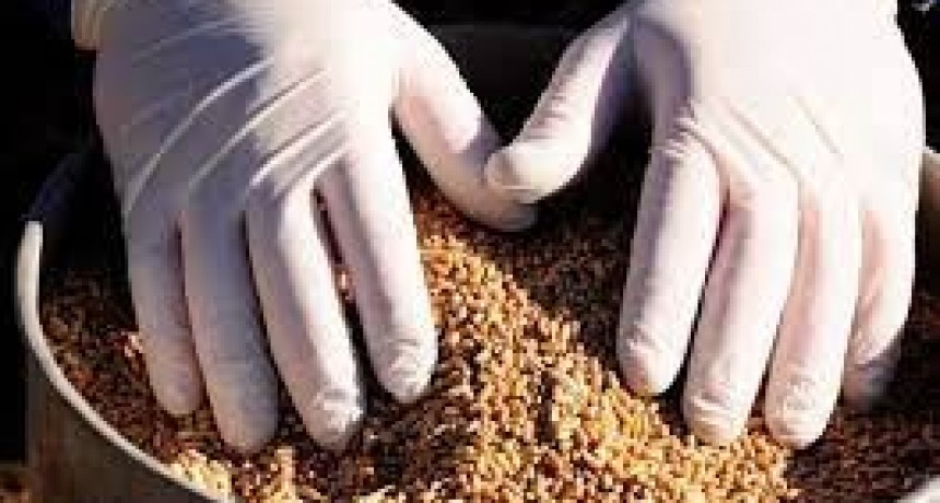 Presentan un portal web para potenciar productos y servicios
