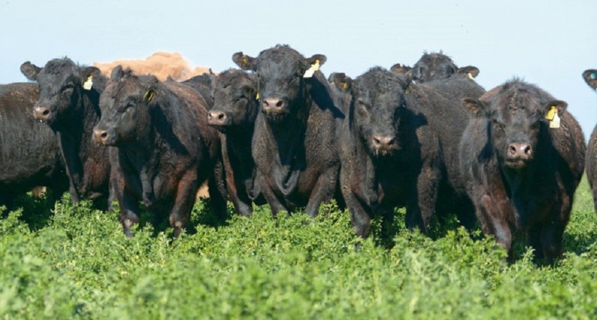 Productores agropecuarios de Olavarr&iacute;a cuentan su trabajo en los micr&oacute;fonos de LU 32