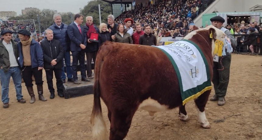 Palermo 2023: el Gran Campe&oacute;n Macho Hereford pertenece a "Caba&ntilde;a Las Tranqueras"