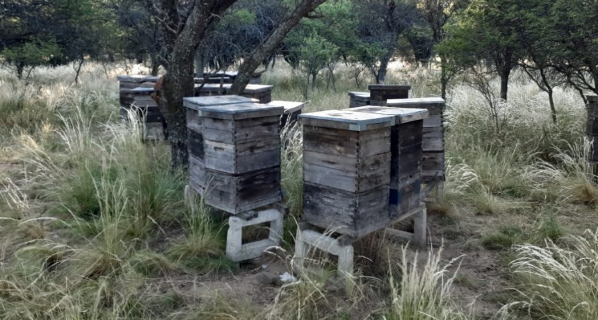 Ambiente: Se proh&iacute;be el uso de productos formulados que contengan Fipronil