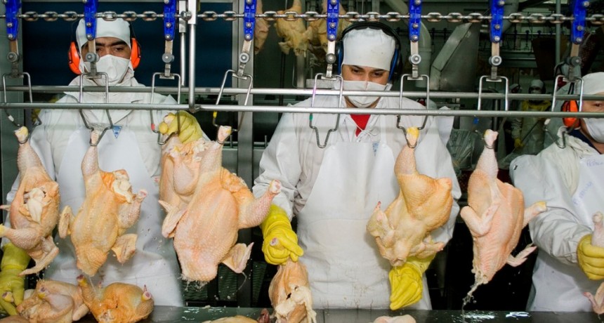 Vietnam reabre su mercado a las exportaciones de productos av&iacute;colas desde Argentina