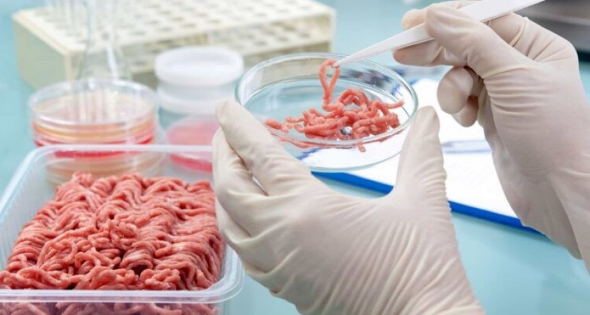 Confirman otro brote de triquinosis en la provincia de Buenos Aires