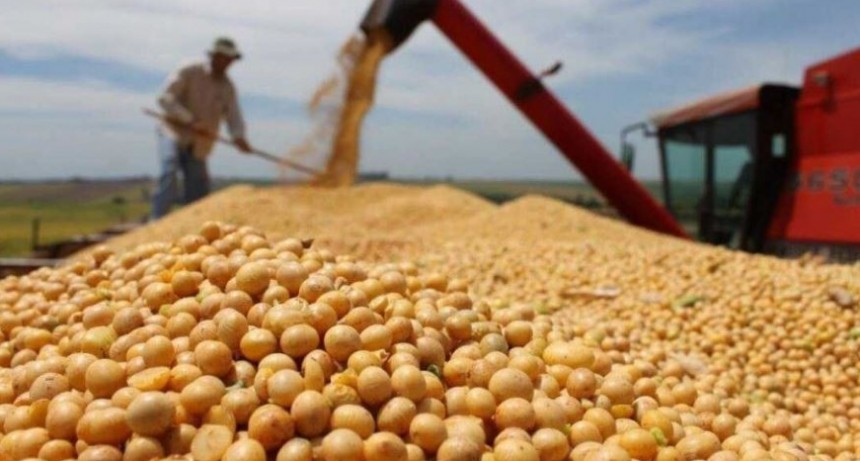 La cosecha de soja concluy&oacute; y aportar&aacute; US$ 20.000 millones en divisas