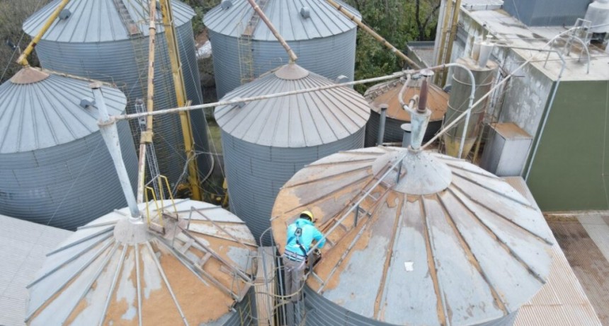 Evasi&oacute;n mutimillonaria: Arba detect&oacute; 700 silos sin declarar en campos bonaerenses de alta valuaci&oacute;n