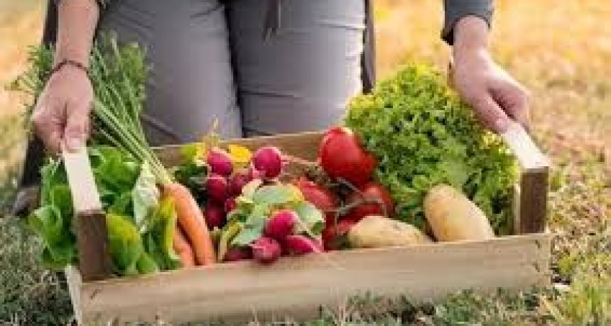 Los precios de los agroalimentos se multiplicaron por 3,3 veces en junio