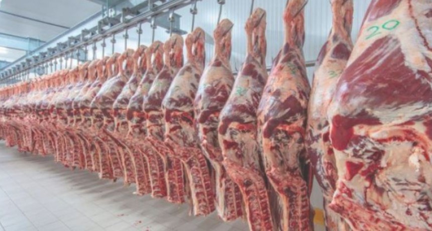 Alerta en los frigor&iacute;ficos: Es por la ca&iacute;da en el consumo de carne vacuna
